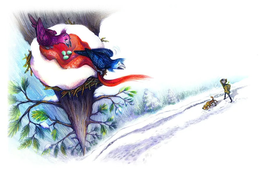 2 ravens in in nest, hig in tree, overlooking snowy surroundings. Dog in distance