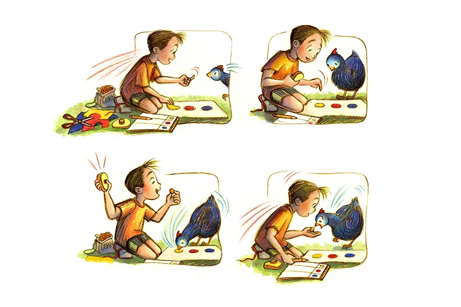 4 panel illustration of a boy training a chicken