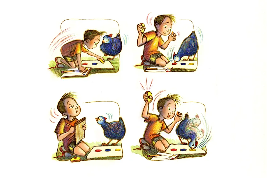 4 panel illustration of a boy teaching a chicken colors