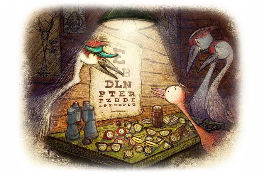 Illustration of a young bird & teacher, looking at an eye exam sheet on the wall