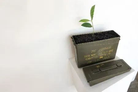 He never spoke about, eriobotriya japonica, steel ammo case, 2019 