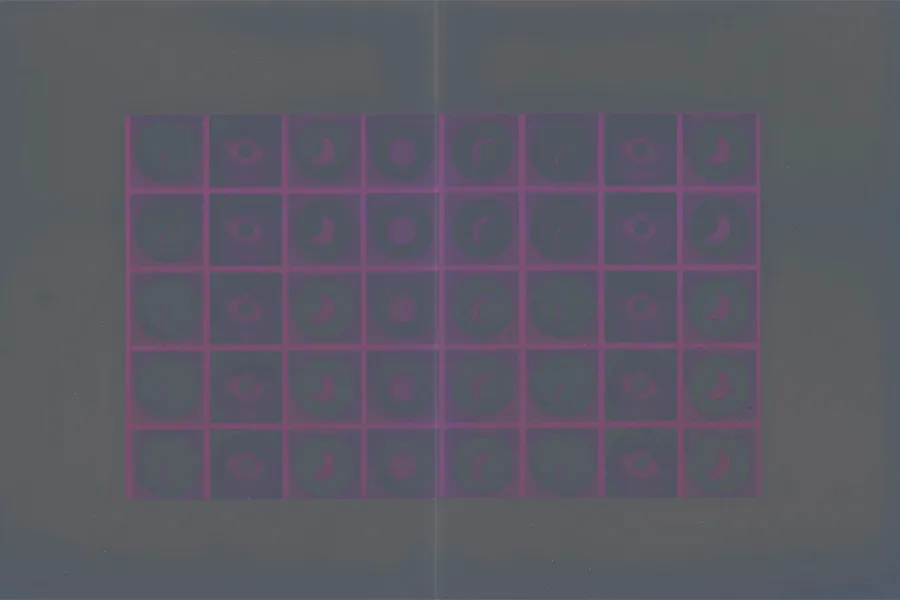 Meg Griffiths, Eclipse