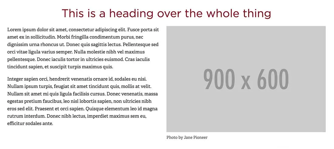 Text with Captioned Image (Full-Width) example