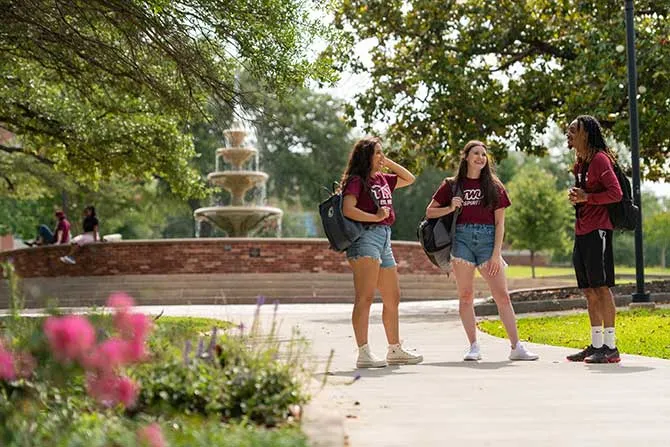 A group of students relax around the Denton fountain.