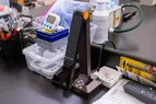 Document Camera 2 Thumbnail