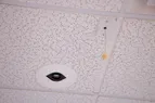 Document Camera Thumbnail
