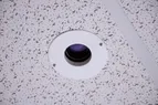 Document Camera Thumbnail
