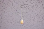 Ceiling Mic Thumbnail