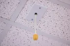 Ceiling Mic Thumbnail