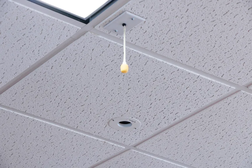 Document Camera