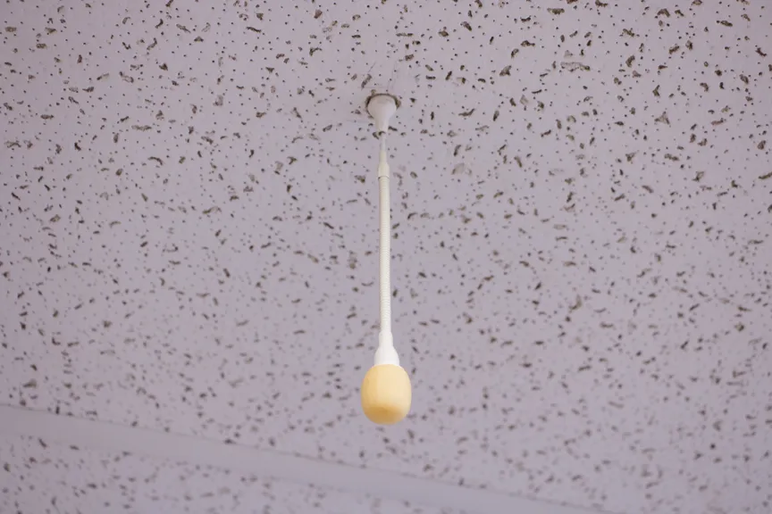 Ceiling Mic