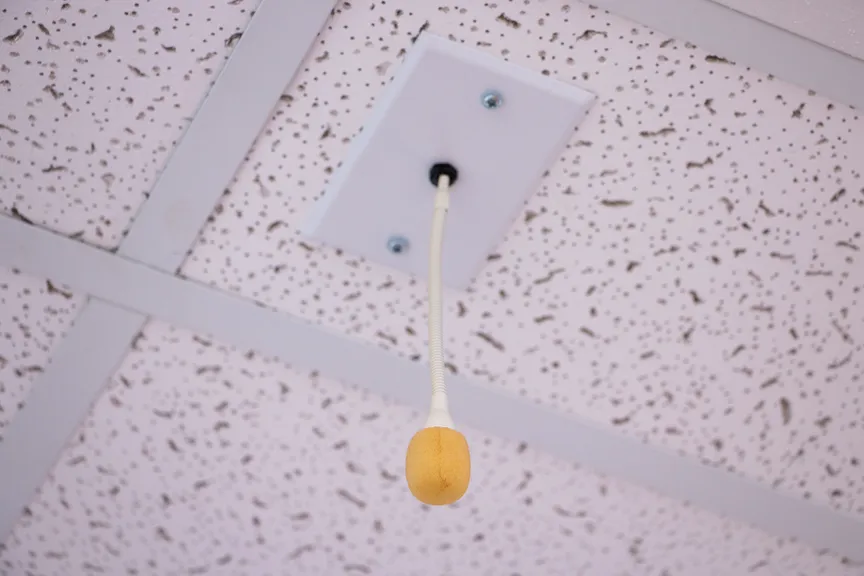 Ceiling Mic