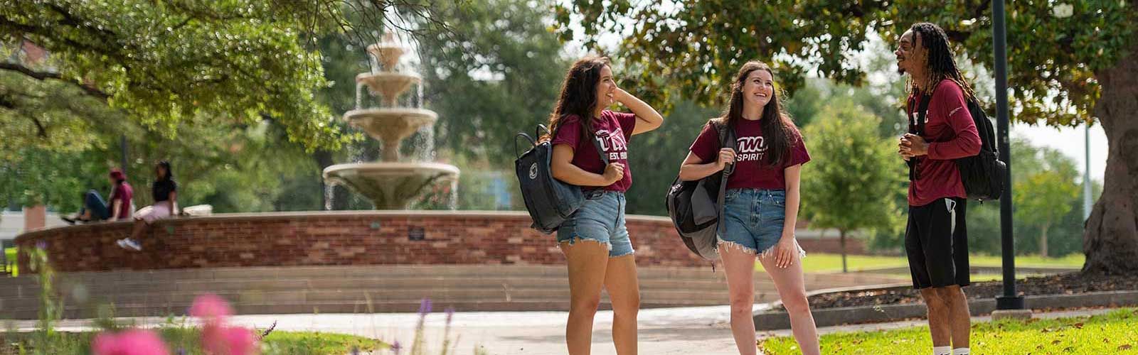 51���� students chat outside the fountain in front of the Blagg-Huey Library on the Denton campus